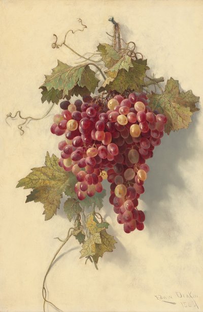 Grapes Against White Wall by Edwin Deakin