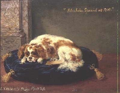 Blenheim Spaniel at Rest by Edwin Frederick Holt