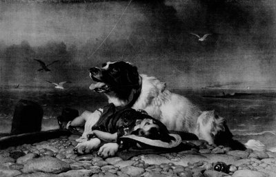 Saved!, c1856 by Edwin Landseer