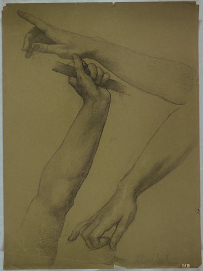 Three Studies of Arms by Edwin Howland Blashfield