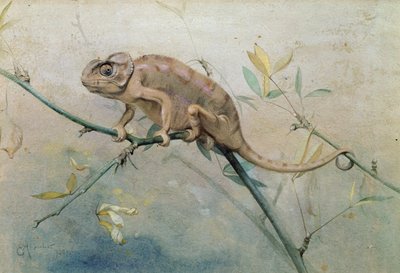 Chameleon, 1901 by Edwin John Alexander