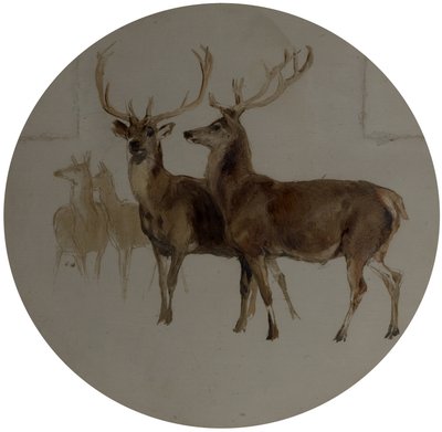 Deer in a Landscape (Studies of Deer) by Edwin Landseer