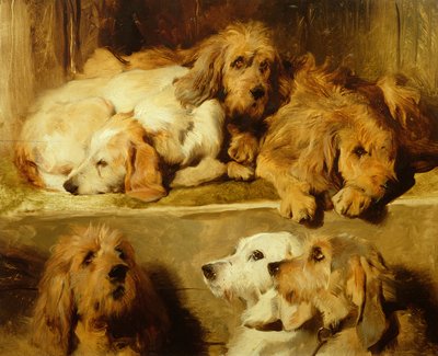 Hounds in a Kennel by Edwin Landseer
