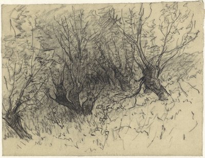 A Few Pollard Willows by Egbert Rubertus Derk Schaap