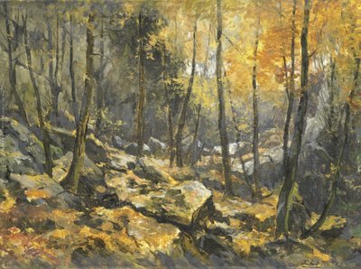 Felsenmeer by Egbert Rubertus Derk Schaap