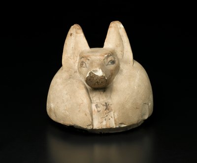 Jackal-Headed Cover of a Canopic Jar by Egyptian