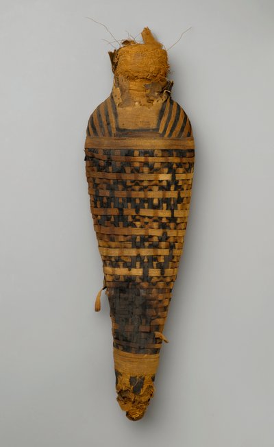 Mummy of a hawk by Egyptian