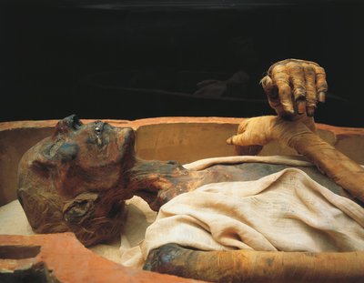 Mummy of Ramses II (detail) by Egyptian 19th Dynasty