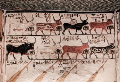 Tomb of Nefertari by Egyptian 19th Dynasty