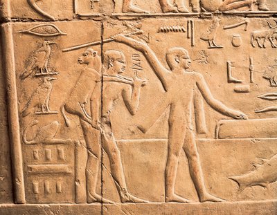 Scenes of farm work (detail) by Egyptian 4th Dynasty