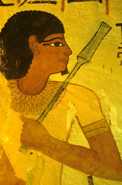 Ancient Egypt, Tomb of Sennufer, Thebes/Luxor by Egyptian Egyptian