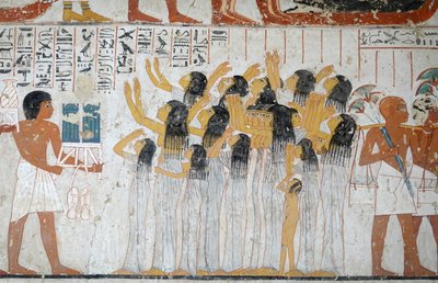 Scene of the Funeral Procession, Ramose