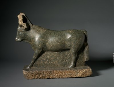 Apis Bull, 400-100 BC by Egyptian Ptolemaic Period