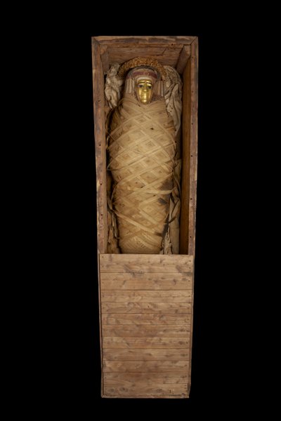 Mummy in coffin, from Hawara by Egyptian Ptolemaic Period