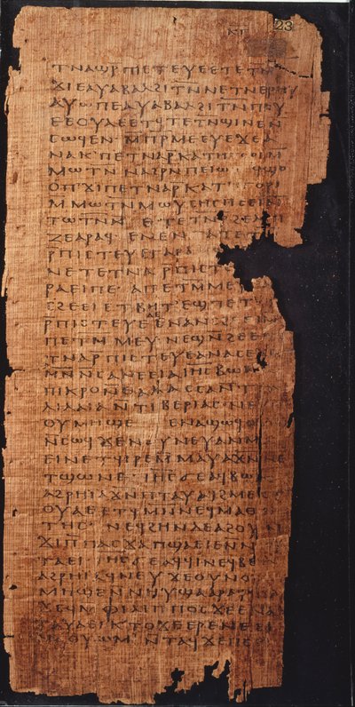 Page from the Gospel of St. John by Egyptian School