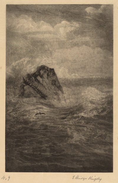 A Rock in the Sea by Elbridge Kingsley