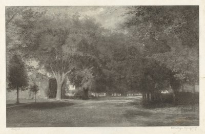 New England Elms by Elbridge Kingsley