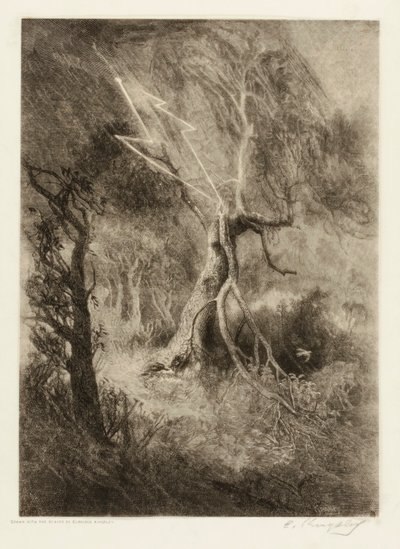 The Tragedy of a Nest by Elbridge Kingsley