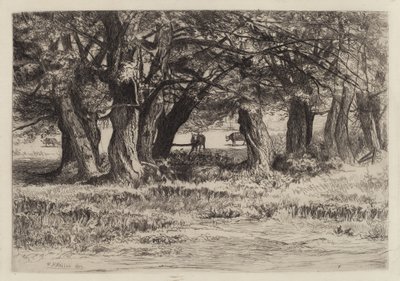 A Group of Willows by Eleazer Hutchinson Miller