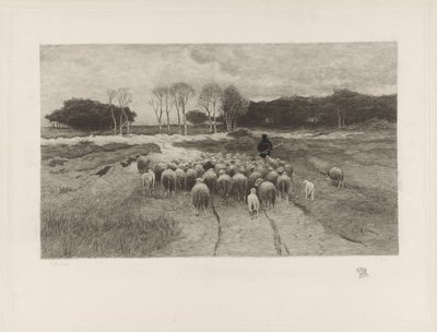 Shepherd by Elias Stark
