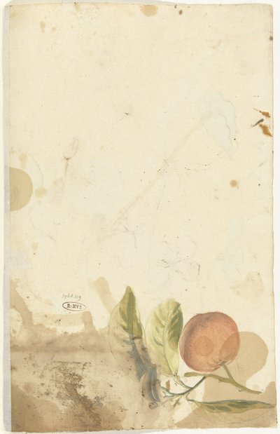 Orange by Elias van Nijmegen