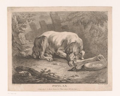 Sleeping Dog by Élie du Mesnil