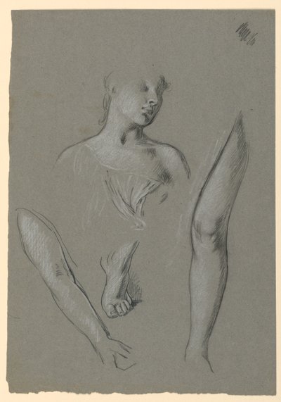 Details of Figure Studies by Elihu Vedder