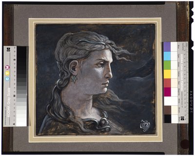 Head of Medusa by Elihu Vedder