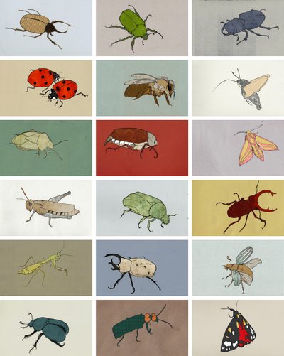 Insects by Eliza Southwood