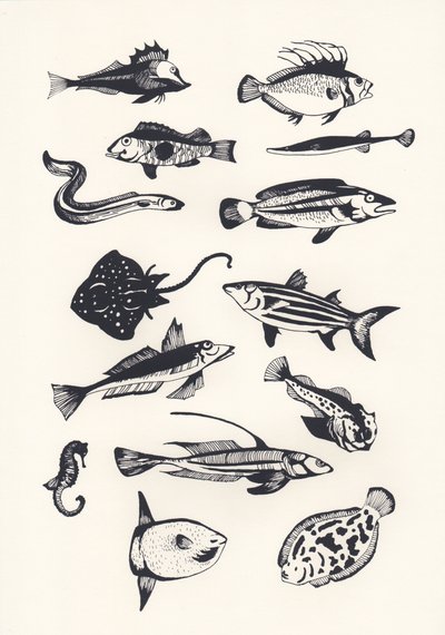 Monotone Plain Fish by Eliza Southwood