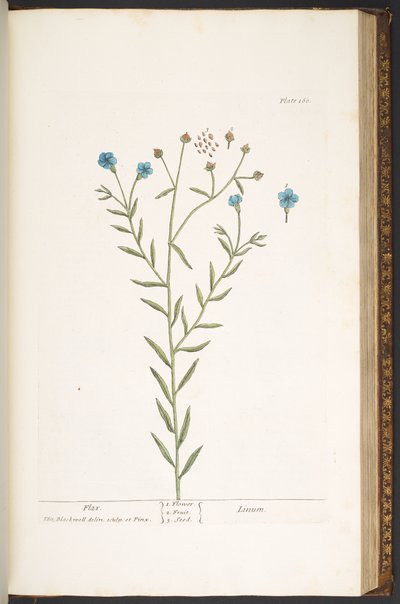 Plate 160, from 