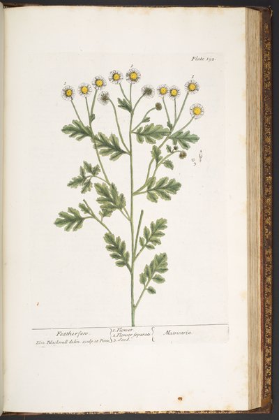 Plate 192, from 