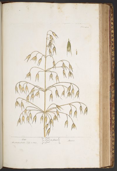 Plate 422, from 