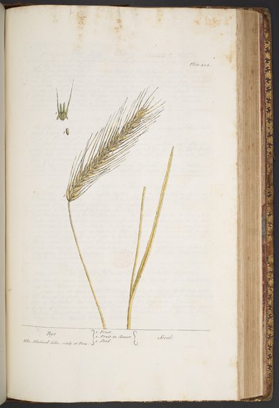 Plate 424, from 