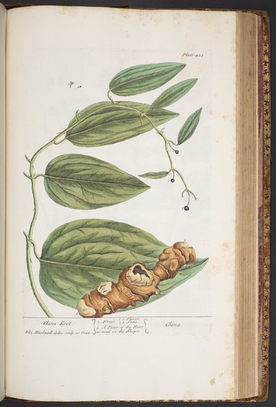 Plate 433, from 