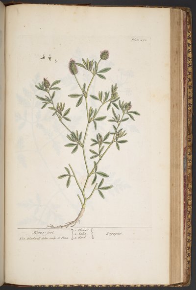 Plate 450, from 
