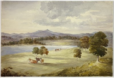 Cows in Landscape by Elizabeth Murray