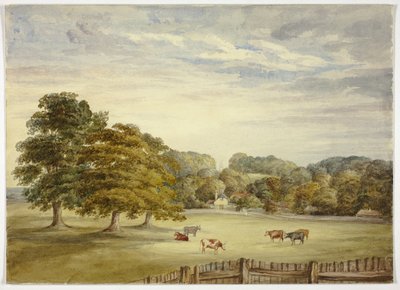 Six Cows Grazing before Country House by Elizabeth Murray