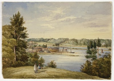 View from Sydney by Elizabeth Murray