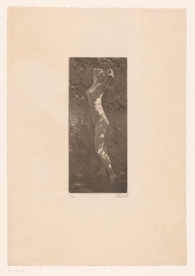 Naked Woman in Sunlight by Ellinnot (signed by artist)