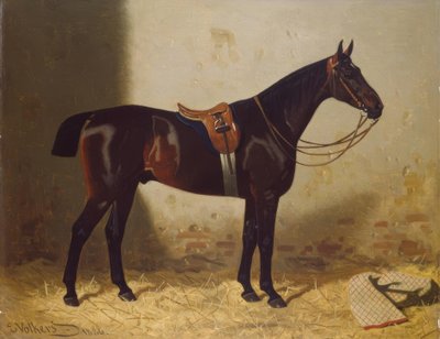 Horse Portrait by Emil Volkers