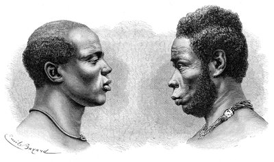 Two Men from French Guinea, c. 1850-1890 by Emile Antoine Bayard