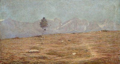The Plant by Emilio Longoni