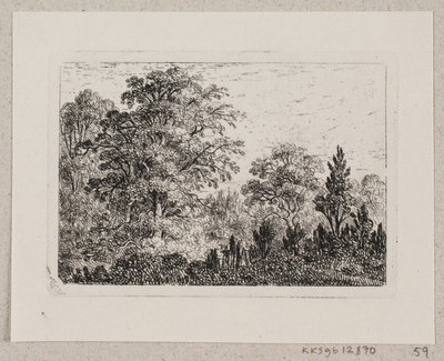Forest Landscape by Emma Meyer