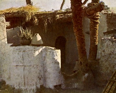 A Fellahin