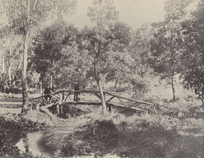 A Rustic Bridge, Ballarat Water Reserve by English Photographer