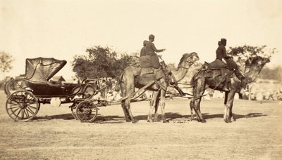Camel Carriage, c.1860 by English Photographer