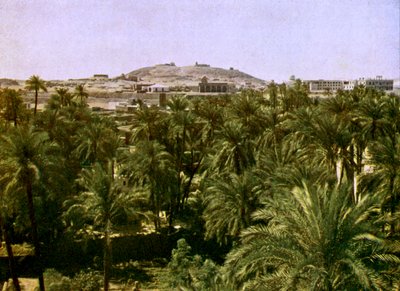 Egypt - Assuan by English Photographer