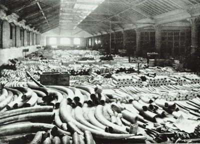 London Docks: Ivory Warehouse, 1895 by English Photographer