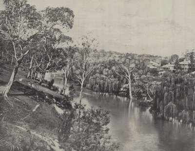 The Yarra at Studley Park by English Photographer